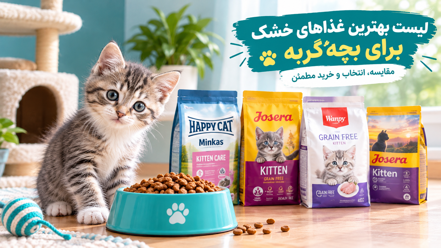 مقایسه غذای خشک بچه‌گربه هپی کت، جوسرا و ونپی